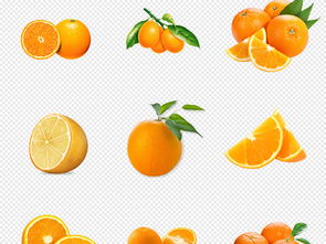 橘子柑橘新鲜水果橙子png免抠透明素材图片 模板下载 101.15MB 食物饮品 大全 生活工作