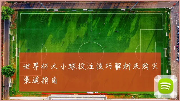 世界杯大小球投注技巧解析及购买渠道指南
