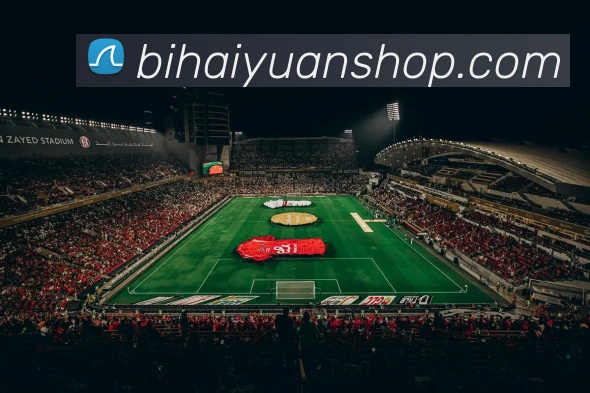 体育数据展示